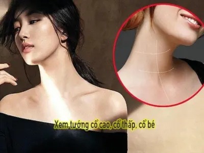 Cách xem tướng qua cổ để dự đoán tính cách và sự nghiệp