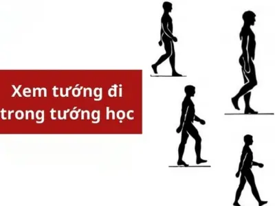 Xem tướng qua dáng đi để luận đoán tính cách chuẩn xác