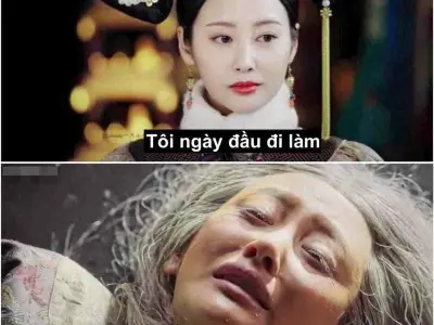 Khám phá bộ ảnh khóc meme vui nhộn khó nhịn được cười