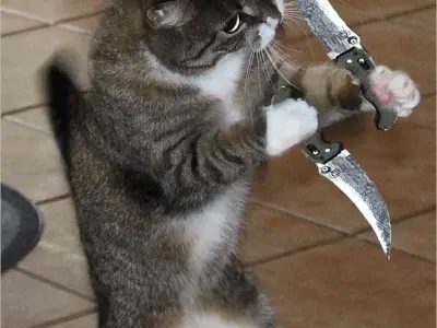 Kho ảnh meme cầm dao cực chất đầy sự vui nhộn