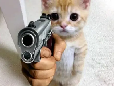Kho ảnh meme cầm súng ngộ nghĩnh siêu dễ thương 2025