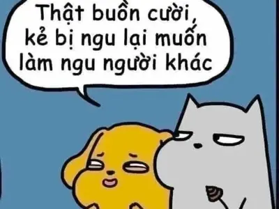Top ảnh meme chửi hài hước được chia sẻ nhiều nhất