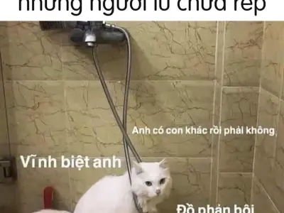 Bộ ảnh meme dỗi hài hước troll cực vui cho giới trẻ