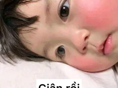 Khám phá ảnh meme giận hài hước hot trend trên mạng xã hội