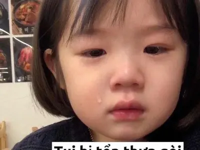 Top ảnh meme khóc vui nhộn khiến cộng đồng mạng thích thú
