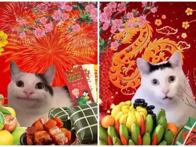 Tuyển chọn ảnh meme Tết vui nhộn hot trend cực hấp dẫn