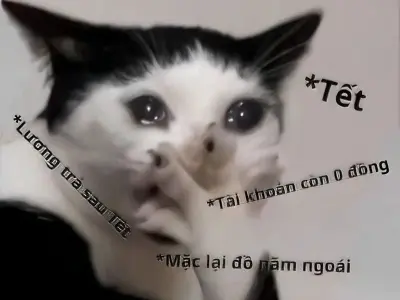 Khám phá ảnh meme tiền vui nhộn mang ý nghĩa độc đáo