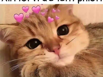 Ảnh xin lỗi meme độc đáo mang đến phút giây giải trí thú vị