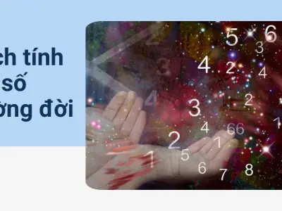 Khám phá bản thân qua chỉ số đường đời trong thần số học