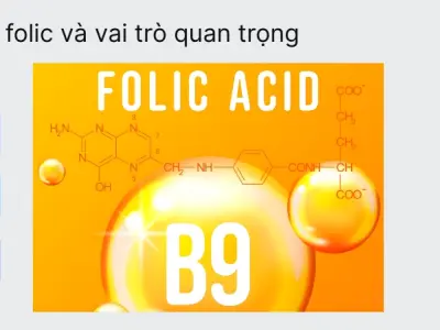 Acid folic – Chìa khóa quan trọng cho sức khỏe toàn diện