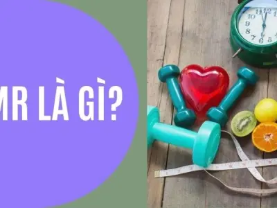 BMR là gì? Vai trò quan trọng với sức khỏe dài hạn