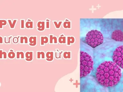 HPV là gì và phương pháp phòng ngừa hiệu quả từ sớm