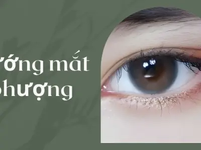 Tướng mắt phượng và bí mật đằng sau sự giàu sang phú quý