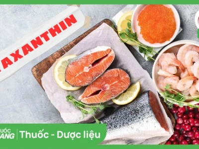 Astaxanthin là gì? Khám phá lợi ích toàn diện cho sức khỏe và sắc đẹp