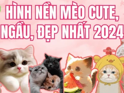 Avt Avatar Ảnh Mèo Cute: Bộ Sưu Tập Đáng Yêu Cho Năm 2026