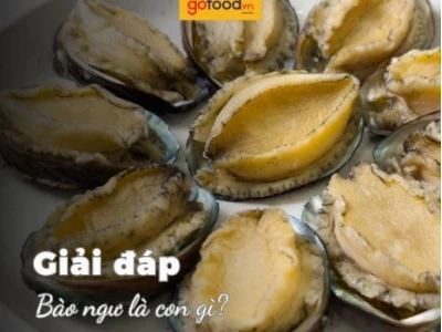 Bào Ngư Là Gì Khám Phá Giá Trị Dinh Dưỡng Và Lợi Ích Tuyệt Vời