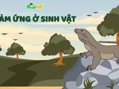 Cảm ứng ở sinh vật là gì và vai trò quan trọng đối với sự sống