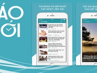 Cây Kim Giao Phong Thủy: Ý Nghĩa, Đặc Điểm Và Cách Chăm Sóc