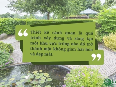 Cây Phong Thủy Tuổi Thìn 1988 Hợp Mệnh Mộc Năm 2026