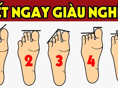 Giải mã tướng bàn chân khổ: Bí ẩn vận mệnh và bí quyết hóa giải