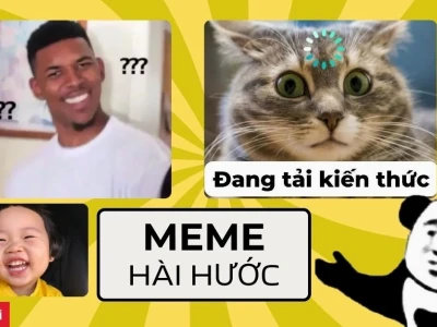 Khám phá 750+ Avatar Meme Mèo Bựa Hài Hước Cực Độc
