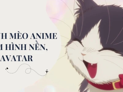 Khám phá hình nền máy tính mèo chibi cute siêu đáng yêu