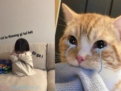Khám phá loạt ảnh meme dỗi cực "chất" cho mọi tình huống