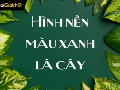 Khám Phá Vẻ Đẹp Tự Nhiên Với Hình Nền Lá Cây Xanh Mát