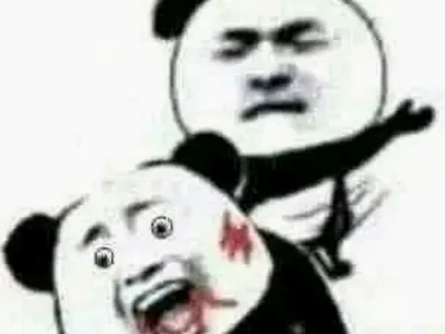 Mặt Gấu Meme: Khám phá bộ sưu tập biểu cảm độc đáo