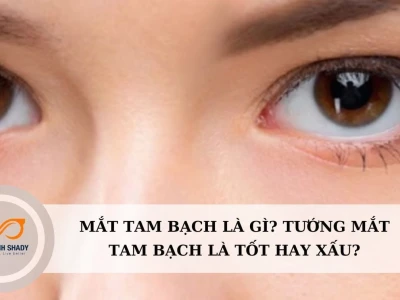 Mắt Tam Bạch: Luận Giải Chi Tiết Theo Nhân Tướng Học & Ý Nghĩa Đặc Biệt