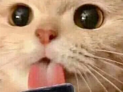 Meme Liếm "Mlem Mlem": Nguồn Gốc, Biến Thể Hài Hước và Cách Sử Dụng
