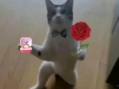 Meme Tặng Hoa Độc Đáo: Biến Yêu Thương Thành Tiếng Cười