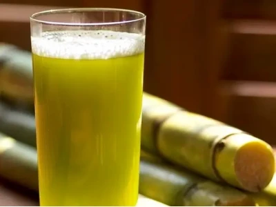 Mía lau là gì? Khám phá công dụng và đặc điểm của loại cây quen thuộc