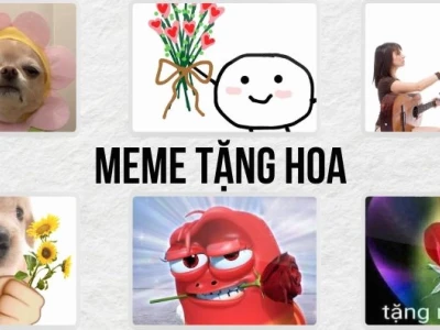 Ngắm ảnh meme tặng hoa hài hước và cute nhất 2026