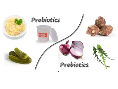 Prebiotics là gì? Nguồn cung cấp và vai trò với sức khỏe