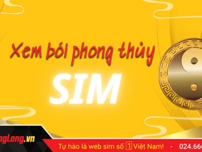 Sim Phong Thủy Hợp Tuổi: Lựa Chọn Số Vận May Cho Năm 2026