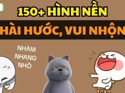 Tổng hợp hình nền meme hài hước cho máy tính và điện thoại