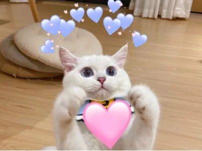 Tổng hợp Meme Tình Yêu Đáng Yêu Nhất