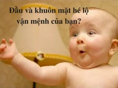 Tướng người đầu to người nhỏ: Ý nghĩa nhân tướng học và cuộc sống