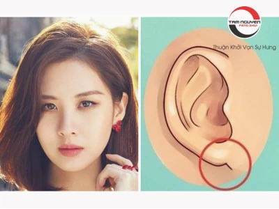 Tướng người tai nhỏ: Luận giải vận mệnh, tài lộc và tính cách