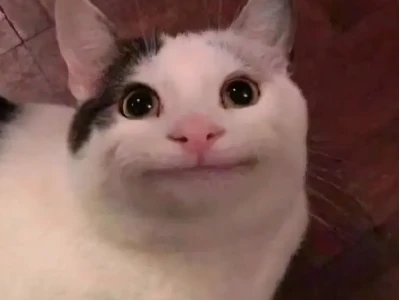 Tuyển Tập Avatar Meme Mèo Bựa Hài Hước Nhất 2026
