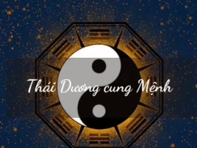 Xương thái dương là gì? Chức năng và vai trò quan trọng với sức khỏe